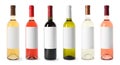 Set with different blank wine bottles on white background.