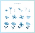 Set of different blue flowers