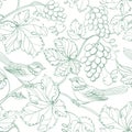 Seamless pattern of branches of grapes on white background.