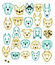 Set of 24 different breeds dogs neon handmade. Head dog Royalty Free Stock Photo