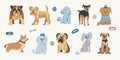 Set of different breeds of pet dogs. Print for printing on children`s clothing. Vector flat illustration