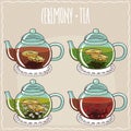 Set of different brewed black and green teas