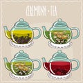 Set of different brewed herbal teas