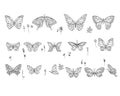 Set with different butterflies. Royalty Free Stock Photo