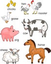 Set of different cartoon farm animals with titles on white background Royalty Free Stock Photo