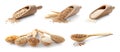 Set with different cereal grains Royalty Free Stock Photo