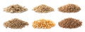 Set with different cereal grains Royalty Free Stock Photo