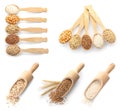 Set with different cereal grains Royalty Free Stock Photo