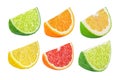 Set of different citrus fruits isolated on white background