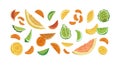 Set of different citrus fruits isolated on white background. Hand-drawn slices, segments and pieces of orange, lemon