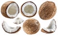 Set of different cracked coconut fruit piece isolated on white background Royalty Free Stock Photo