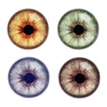 Set with different color eyes on white background Royalty Free Stock Photo