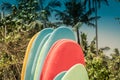 Set of different color surfboards on sandy beach seacoast.