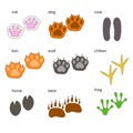 Set of different colored paws of animals. Vector illustration