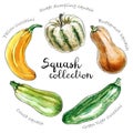 Set of different colored squashes.