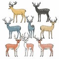 Set different colored standing deer, antlers prominent each, spotted fur patterns. Handdrawn deer