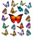 Set of different colorful butterflies.