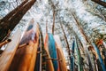 Set of different colorful surf boards in a stack Royalty Free Stock Photo