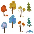 Set of different colorful different tree species in fall and winter seasons Royalty Free Stock Photo