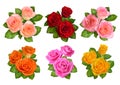 Set of different colours roses isolated on white background. Royalty Free Stock Photo