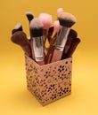 Set of different cosmetic brushes in a pink makeup carrier case on bright yellow background