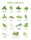 Set of 15 different culinary herbs in cartoon style. Spanish names.