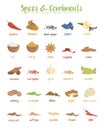 Set of 25 different culinary species and condiments in cartoon style.