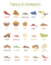 Set of 25 different culinary species and coniments in cartoon style. Spanish names. Royalty Free Stock Photo