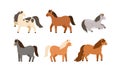Set of different cute little horses. Collection of adorable childish pony. Flat vector cartoon illustration of beautiful