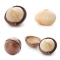 Set of different delicious organic macadamia nuts on white Royalty Free Stock Photo