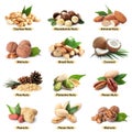 Set of different delicious organic nuts Royalty Free Stock Photo