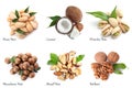 Set of different delicious organic nuts on white background Royalty Free Stock Photo