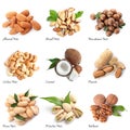 Set of different delicious organic nuts on white, top view