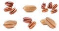 Set of different delicious organic pecan nuts Royalty Free Stock Photo