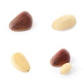 Set of different delicious organic pine nuts Royalty Free Stock Photo