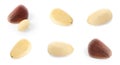 Set of different delicious organic pine nuts Royalty Free Stock Photo