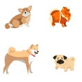 Set of different dogs Royalty Free Stock Photo