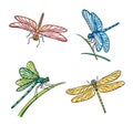 Set of different dragonflies - vector illustration