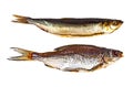 Set of different dried and smoked fishes on white background