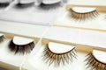 Set with different false eyelashes in packs as background Royalty Free Stock Photo