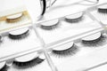 Set with different false eyelashes in packs as background Royalty Free Stock Photo