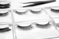 Set with different false eyelashes in packs as background Royalty Free Stock Photo