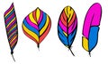 set of different feathers handwritten in colorful manner