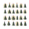 Set of different fir trees on white background Royalty Free Stock Photo