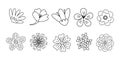 Set of different flowers heads, spring design, doodle style flat vector outline for coloring book Royalty Free Stock Photo