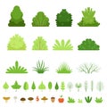 Set of different forest bushes, grasses, leaves of trees, mushrooms and fruits. Vector illustration Royalty Free Stock Photo