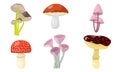 Set of different forest mushrooms and toadstools. Vector illustration in flat cartoon style Royalty Free Stock Photo