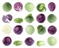 Set of different fresh cabbages on background Royalty Free Stock Photo