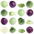 Set of different fresh cabbages on background Royalty Free Stock Photo