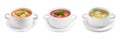 Set of different fresh homemade soups on white background